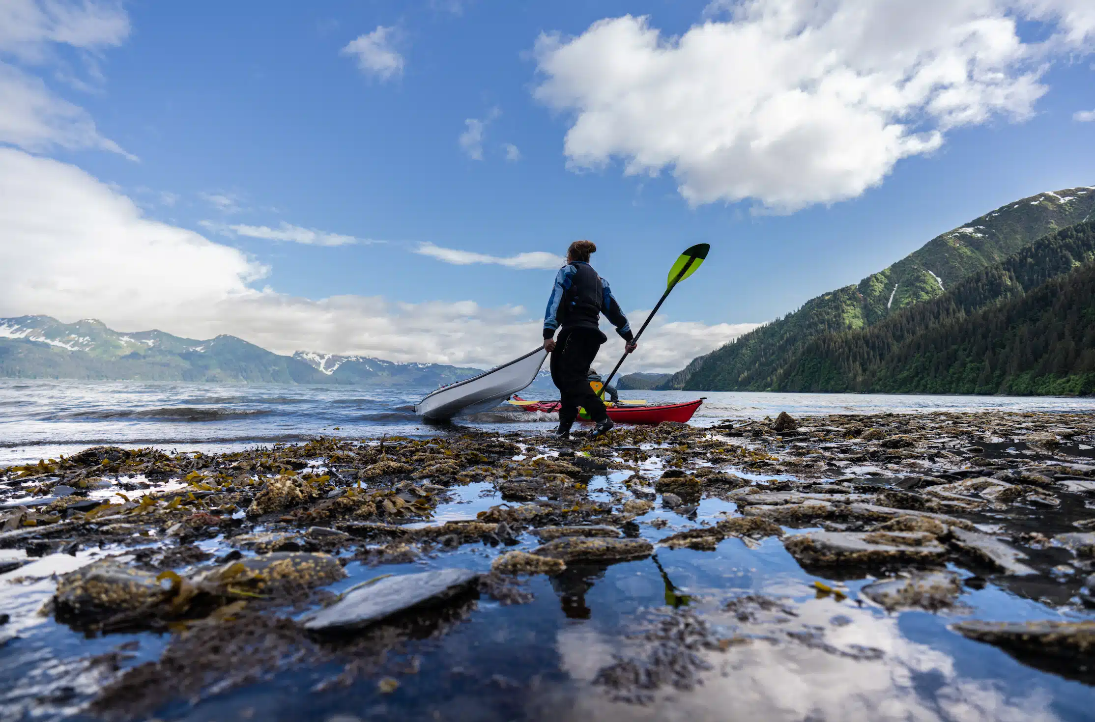 Guided Kayaking in Seward, Alaska
