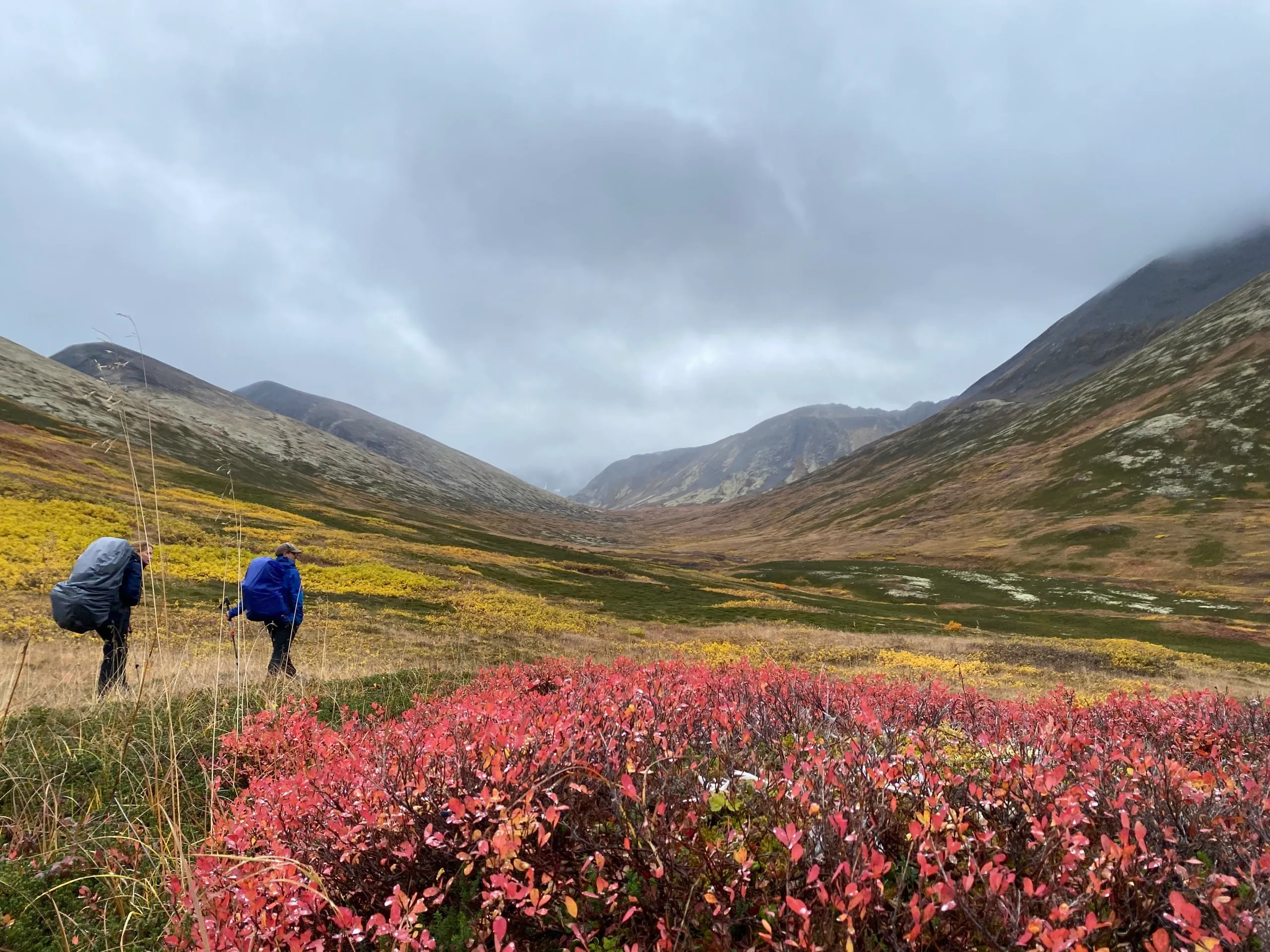 Wilderness Medicine Courses