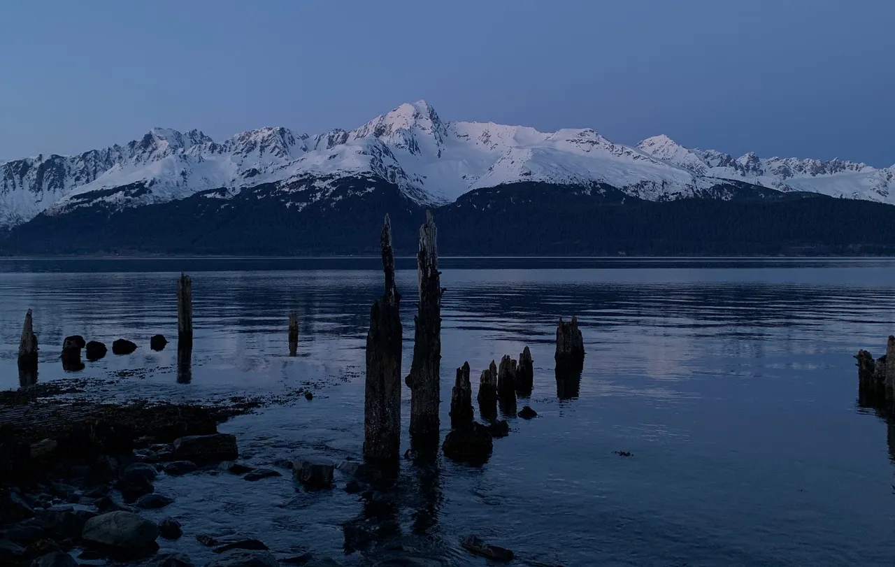 To Be Moved By Stillness