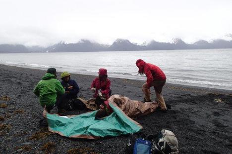 participants of Wilderness First Responder training near Seward, Alaska