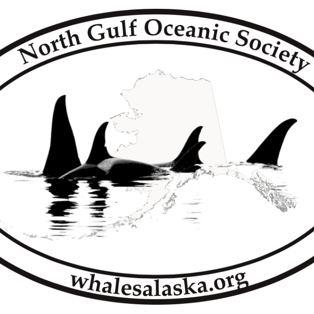 Screen-Shot-2019-06-01-at-2.05.20-PM North Gulf Oceanic Society Logo